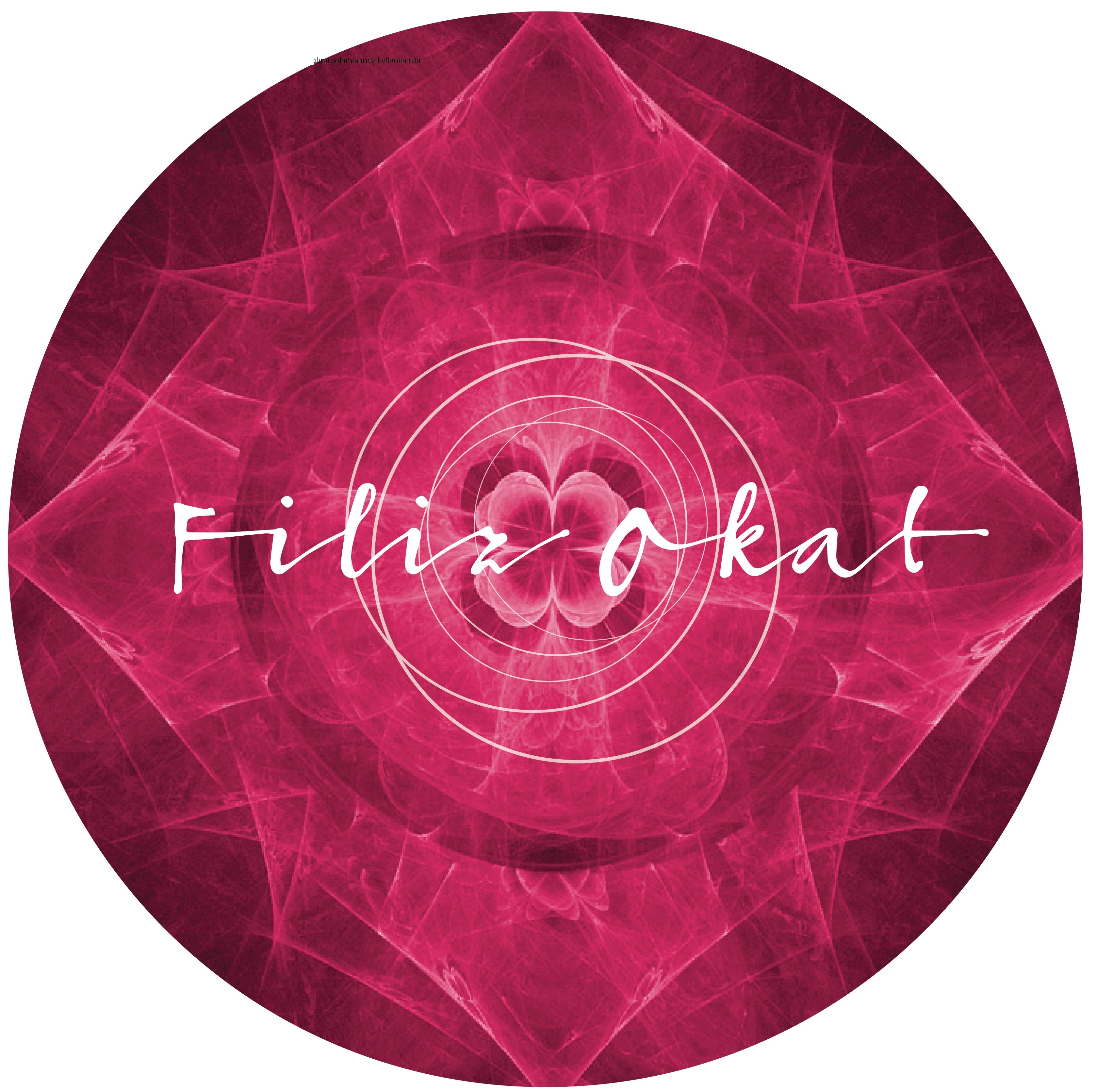 website template image